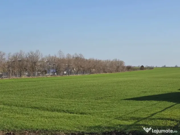Teren de vanzare in Agigea la DN 38 zona Registrul Auto - Agigea (Constanta)