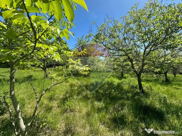 TEREN CU PRIVELISTE - Baia Mare - Baia Mare (Maramures)