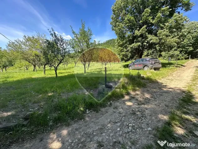 TEREN CU PRIVELISTE - Baia Mare - Baia Mare (Maramures)