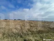 Teren intravilan Carcea, 3.000 mp, acces Progresului, comisi 