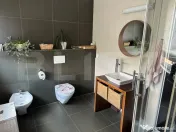 Casa moderna, 4 dormitoare, energie verde, zona Andrei Mures