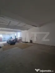 Hala industriala de inchiriat, Halchiu, BV 