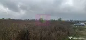 Sabareni, teren intravilan 6320 mp, pentru case 