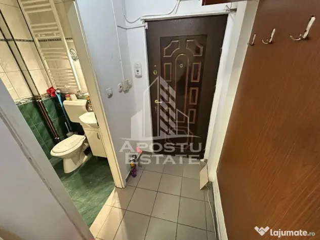 Spatiu comercial de inchiriat, 2 camere, Sagului P-ta Doina - Timisoara (Timis)