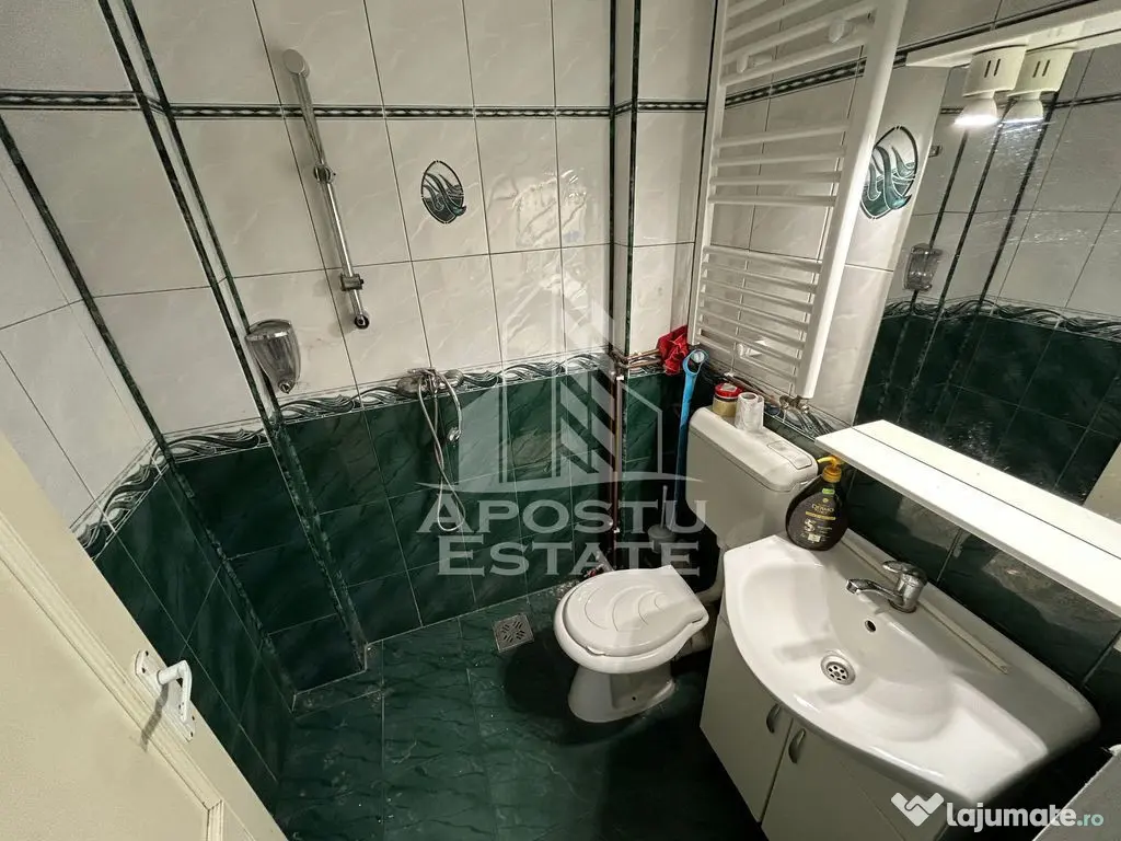 Spatiu comercial de inchiriat, 2 camere, Sagului P-ta Doina - Timisoara (Timis)