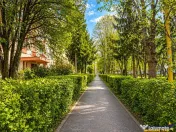 Decomandat si renovat, cu vedere spre gradina, Centrul Civic 