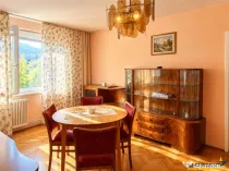 Pet friendly! Apartament doua camere, Bulevardul Victoriei,