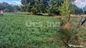Teren intravilan, arabil, suprafata 1667, Huși, Vaslui 