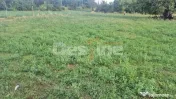 Teren intravilan, arabil, suprafata 1667, Huși, Vaslui 