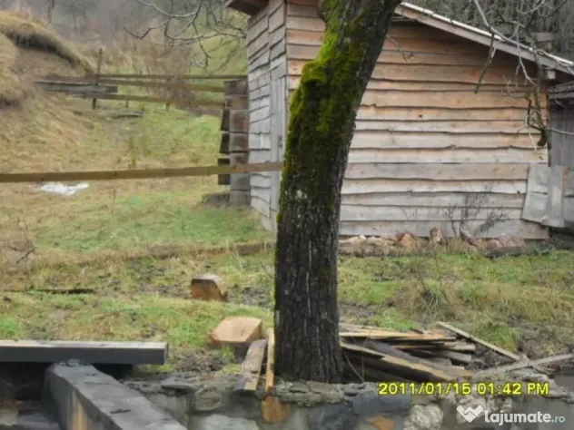 Teren 1924 mp. in Ranusa - ID : RH-10635-property