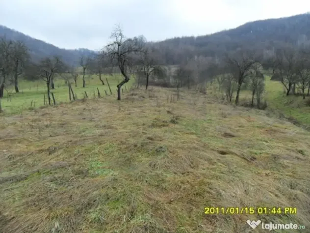 Teren 1924 mp. in Ranusa - ID : RH-10635-property