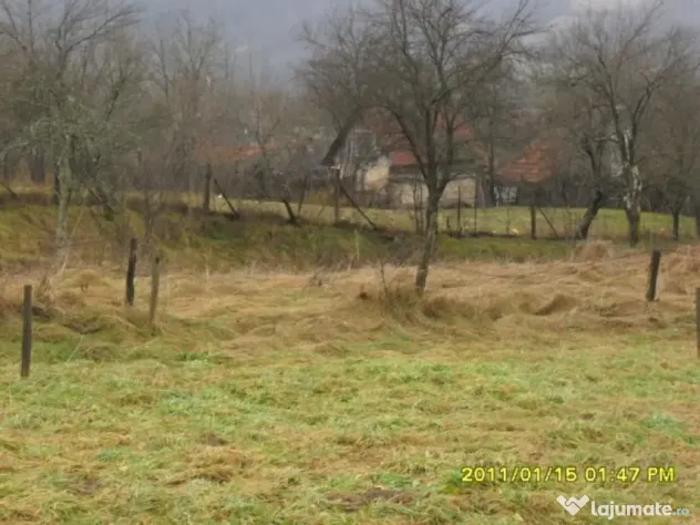 Teren 1924 mp. in Ranusa - ID : RH-10635-property