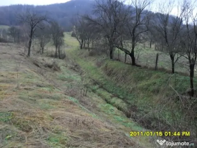 Teren 1924 mp. in Ranusa - ID : RH-10635-property