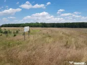 Loturi Teren Intravilan si Extravilan Pielesti/Craiova, 6... 