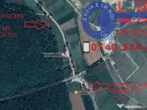 ID 7319 TEREN * Comuna Topolog