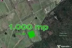 Teren Baneasa 1058 Mp Piscul Reghiului New