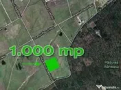 Teren Baneasa 1058 Mp Piscul Reghiului New 