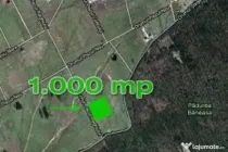 Teren Baneasa 1058 Mp Piscul Reghiului New