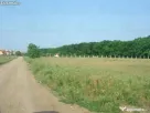 Teren Baneasa 1058 Mp Piscul Reghiului New