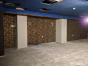 Centru Istoric 290 mp parter si Mezanin Open space trafic... 