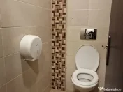 Centru Istoric 290 mp parter si Mezanin Open space trafic... 