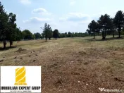 Zona Pantelimon: Teren pentru construit, peste 35.000 mp. 