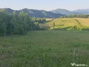 Barsana, 95ari teren 