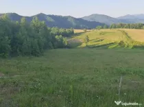 Barsana, 95ari teren