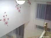 Casa noua 8 camere in Macea - ID : RH-34044-property 