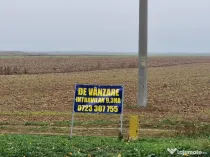 Teren intr 9,3 HA, Gepiu , front la DN Arad-175 ml