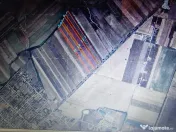 Teren intr 9,3 HA, Gepiu , front la DN Arad-175 ml 