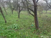 Teren intravilan in Deva, zona Vulcan str. Roci, 1601 mp 