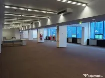 Birouri Theodor Pallady, Bucuresti