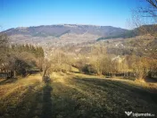 Teren intravilan 1425 mp Trestieni- Valea Doftanei 