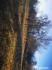 Teren intravilan 1425 mp Trestieni- Valea Doftanei 