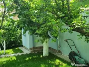 Mamaia sat/ pensiune 