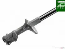 Amortizor Peugeot 306 1999
