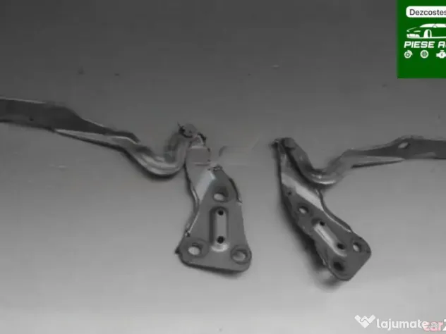 Balama Capota Spate (dacia Logan Benzina 1 6 16 Valve