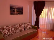 Inchiriere apartament o camera Blascovici 