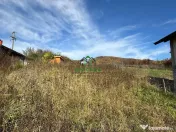 Teren intravilan - 1020 mp - Vladesti Priporu 