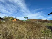 Teren intravilan - 1020 mp - Vladesti Priporu 