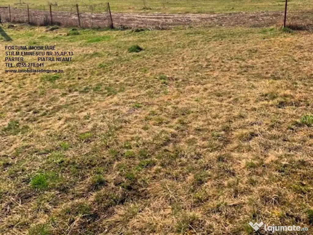 Teren intravilan Piatra Neamt