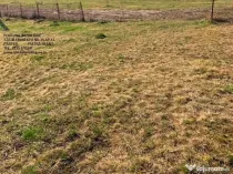 Teren intravilan Piatra Neamt