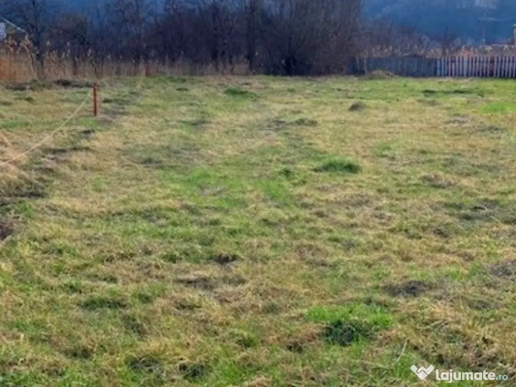 Teren intravilan Piatra Neamt