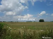 Teren Corbeanca-Ostratu 