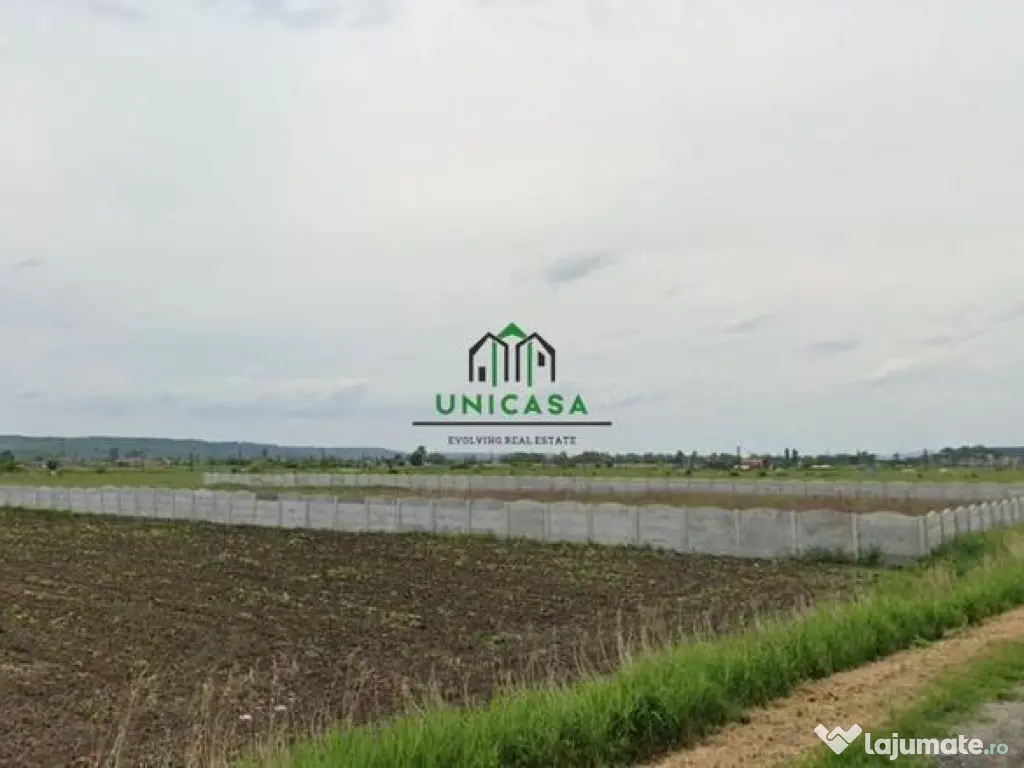 Teren Zona industriala / 2500mp