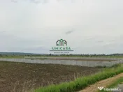 Teren Zona industriala / 2500mp 