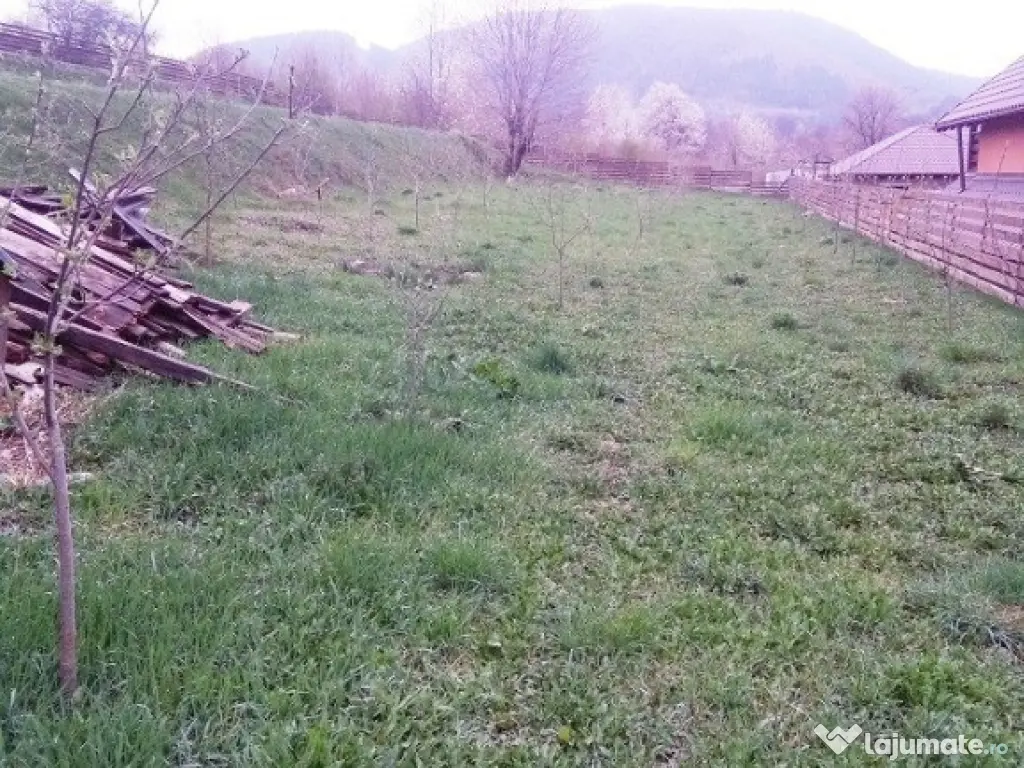 Teren Alexandru cel Bun