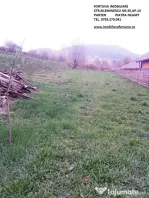 Teren Alexandru cel Bun