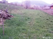 Teren Alexandru cel Bun